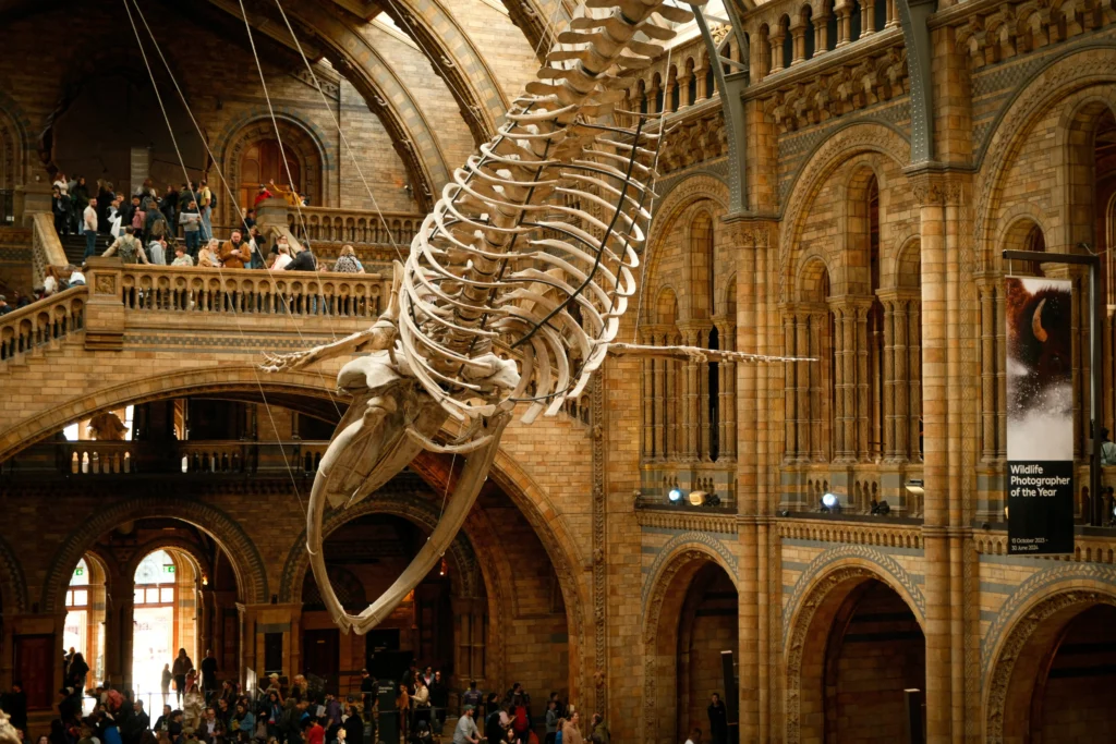 musee londres histoire naturelle